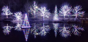commercial holiday lighting installers
